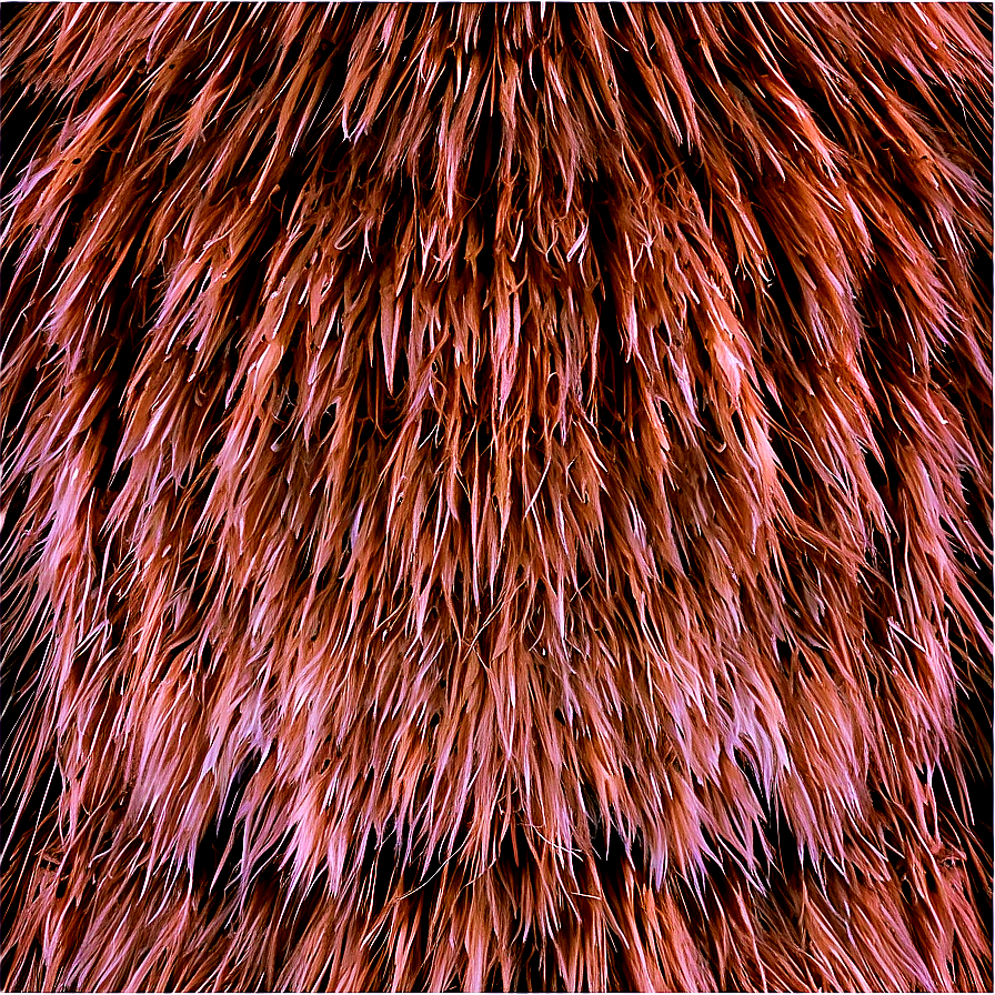 Rabbit Fur Texture Png Cxf