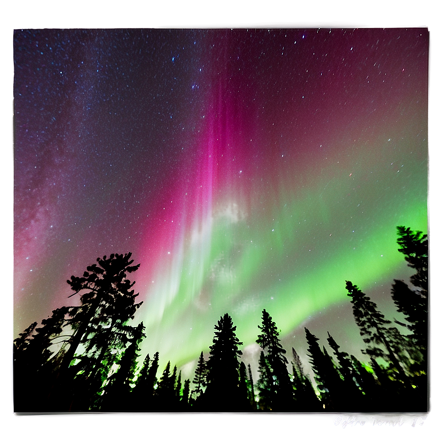 Radiant Aurora Above Treetops Png 90