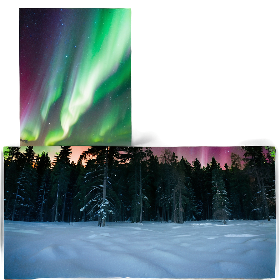 Radiant Aurora Above Treetops Png Owi72