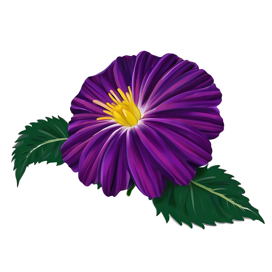 Radiant Purple Flower Png 05242024