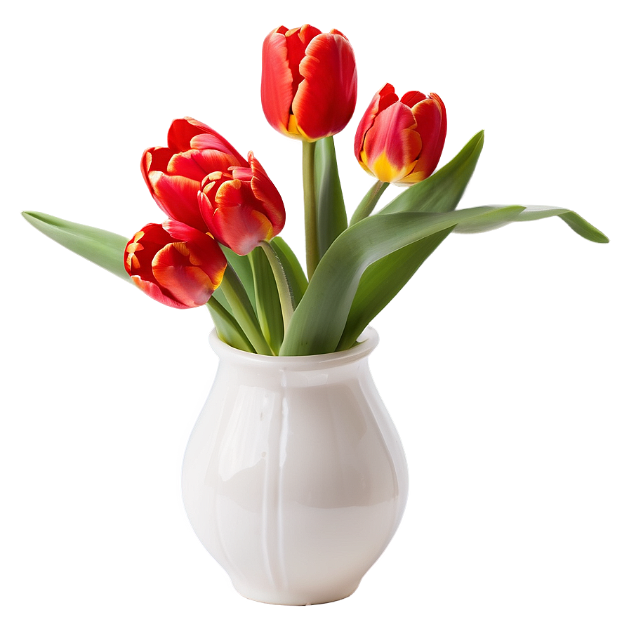 Radiant Red Tulips Png Paj