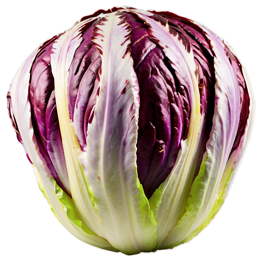 Radicchio Lettuce Png 16