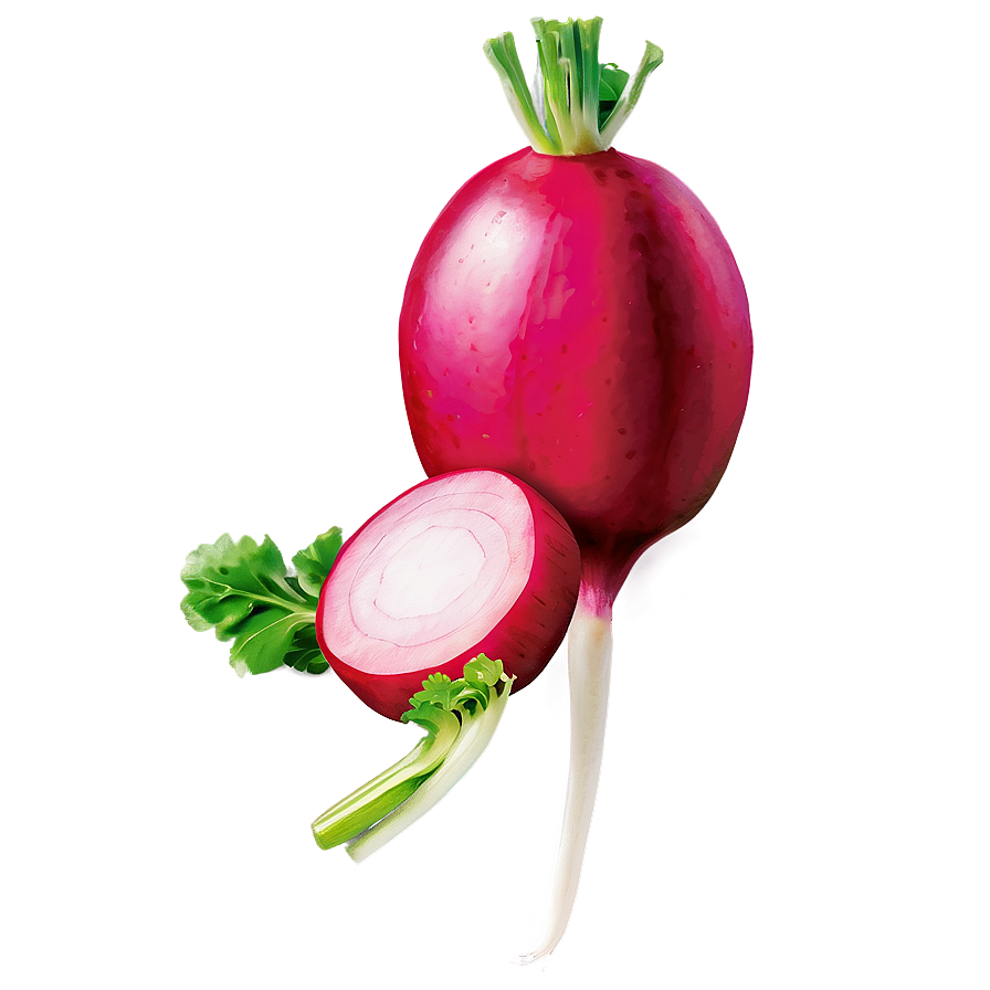 Radish Slice Png 25