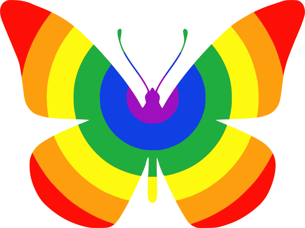 Rainbow Butterfly Graphic