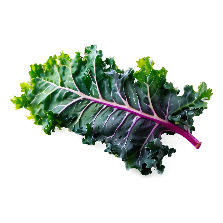 Rainbow Kale Png Srs99