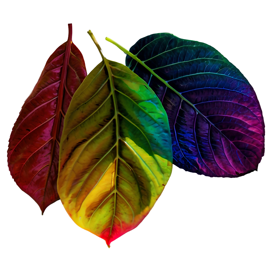 Rainbow Leaves Png Odv