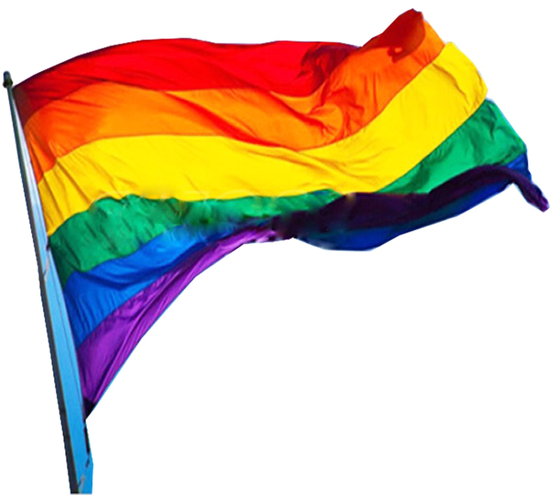 Rainbow Pride Flag Waving