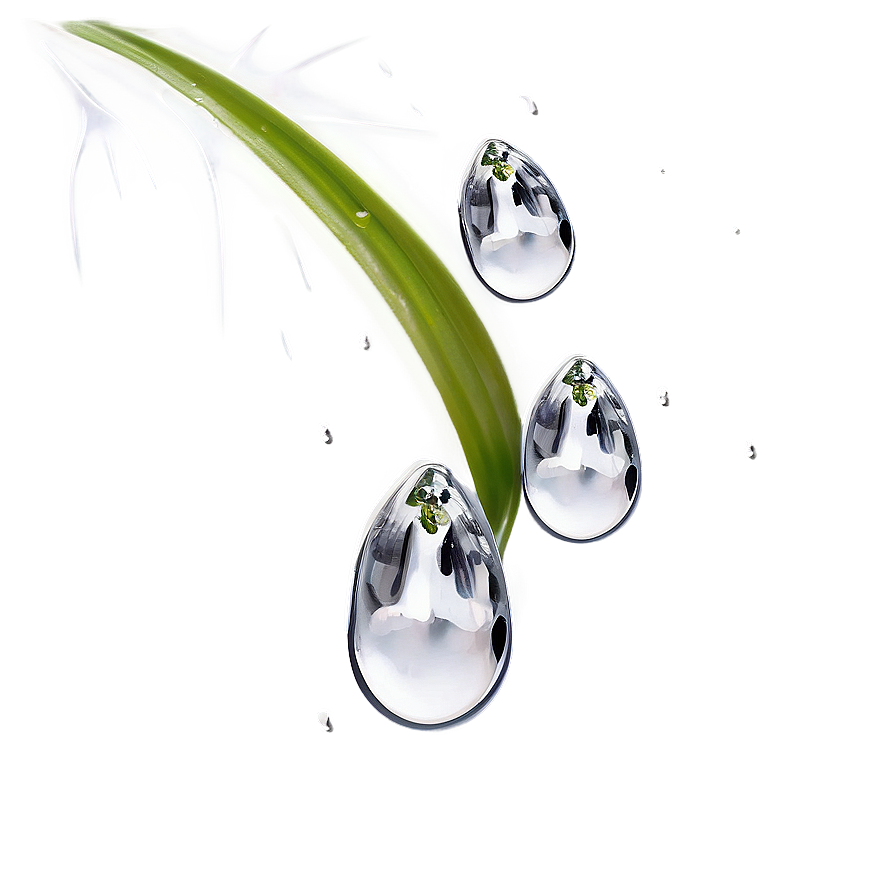 Raindrop On Petal Png Inx34