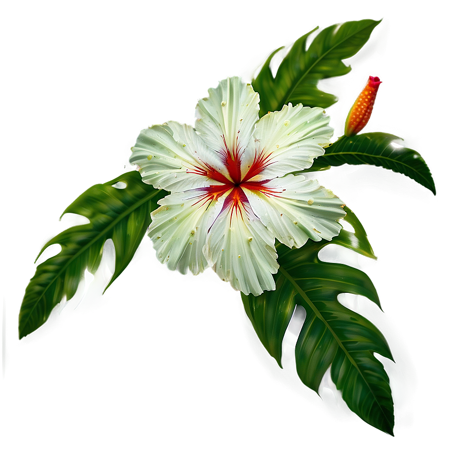 Rainforest Flowers Png Rsr