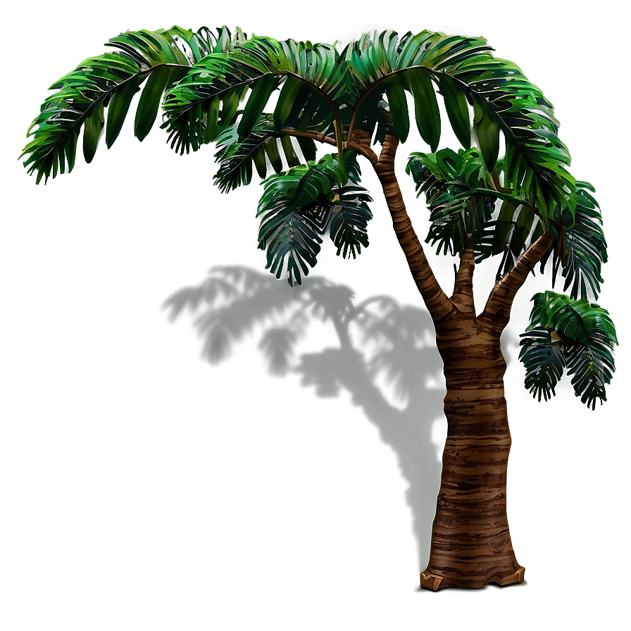 Rainforest Tree Shadow Png 51