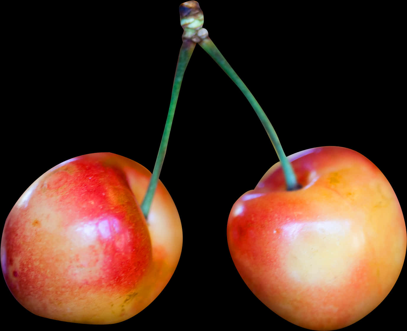 Rainier Cherries Black Background