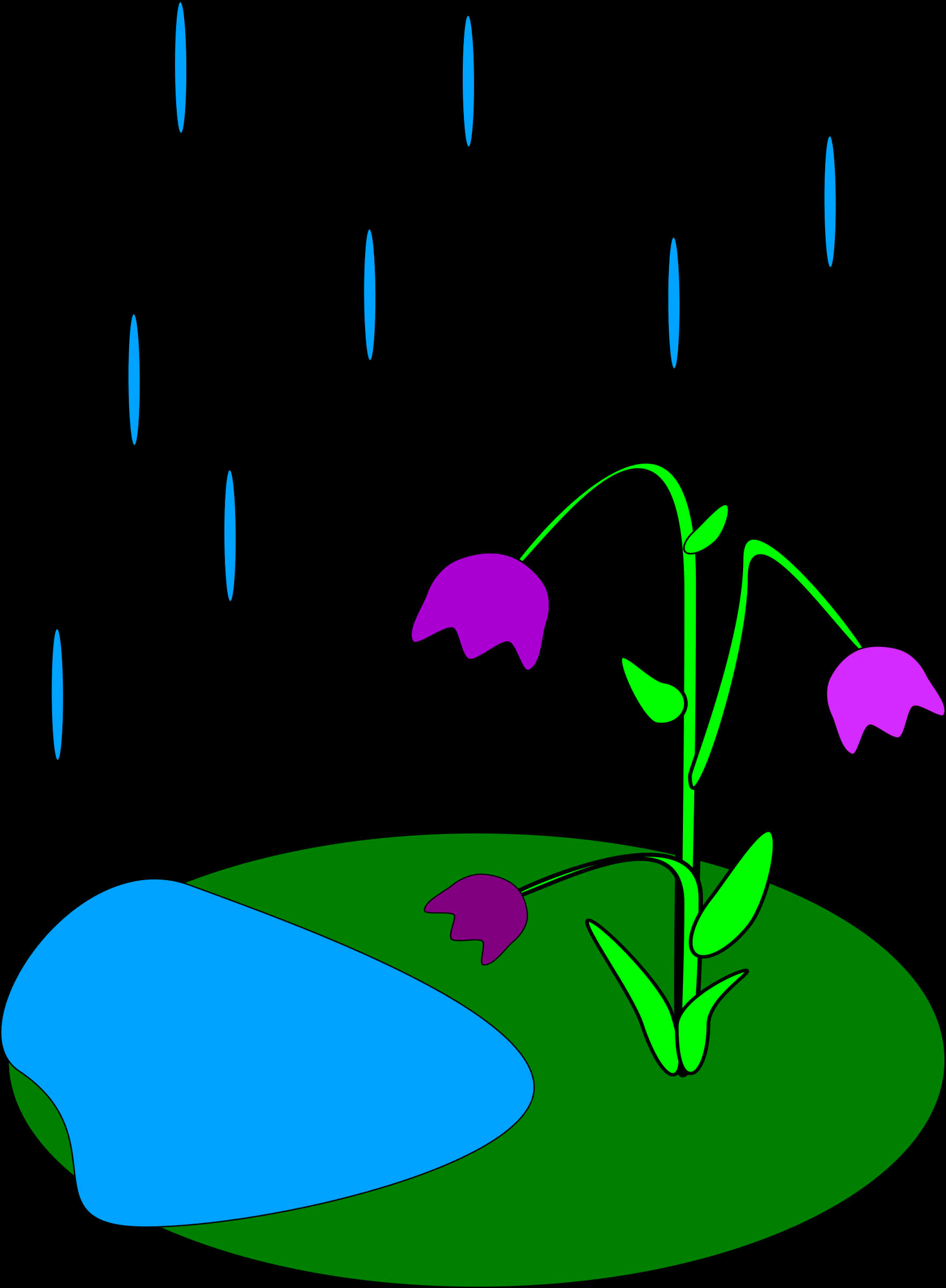 Rainy Night Flower Illustration