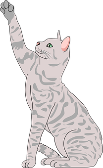 Raising Paw Gray Tabby Cat Illustration