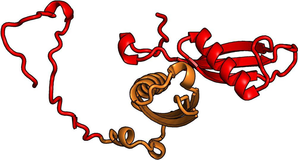 Rakhi Festival3 D Molecular Structure