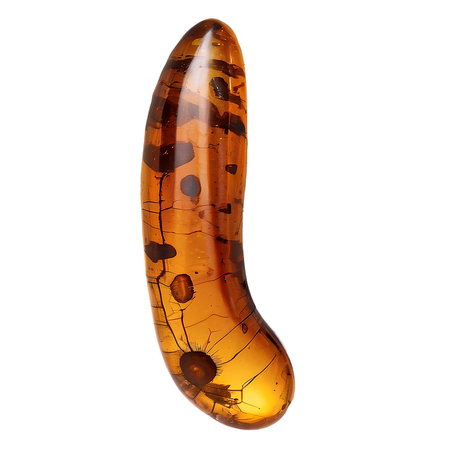 Rare Amber Fossil Png Nam