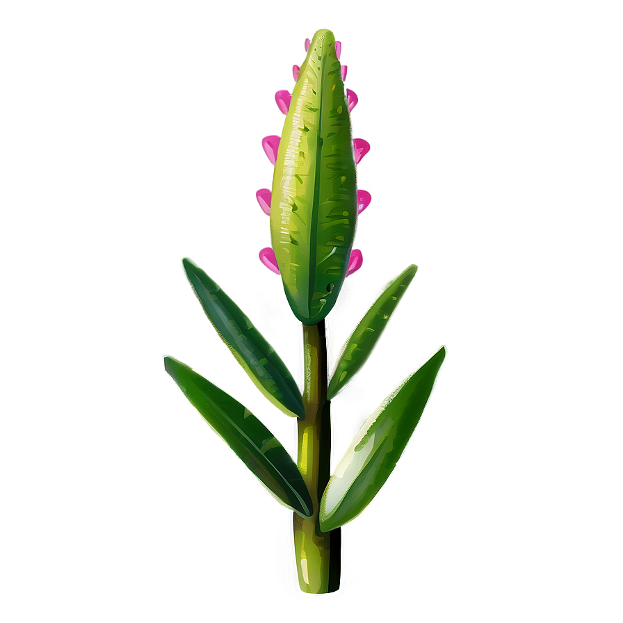 Rare Plant Png 05032024