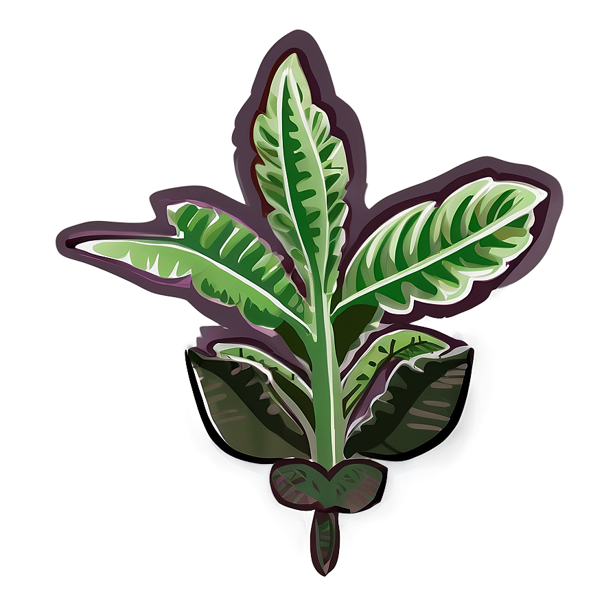 Rare Plant Png 32