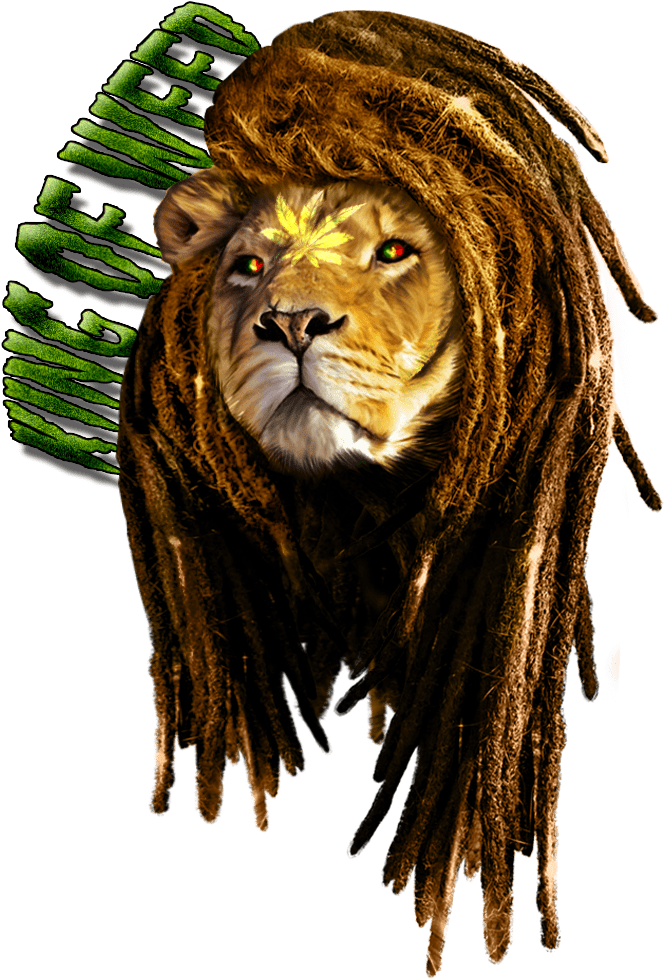 Rasta Lion Artwork