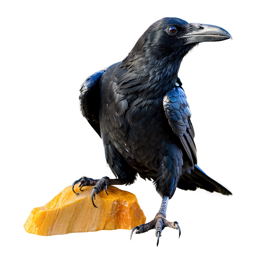 Raven Carrying Gemstone Png Toq36