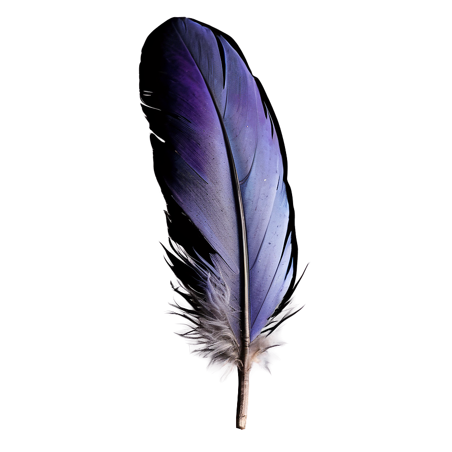 Raven Feather Close-up Png Jmj1