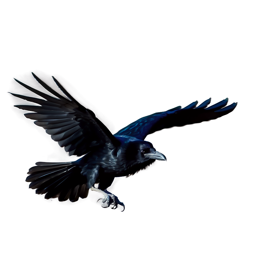 Raven In Flight Png 05062024