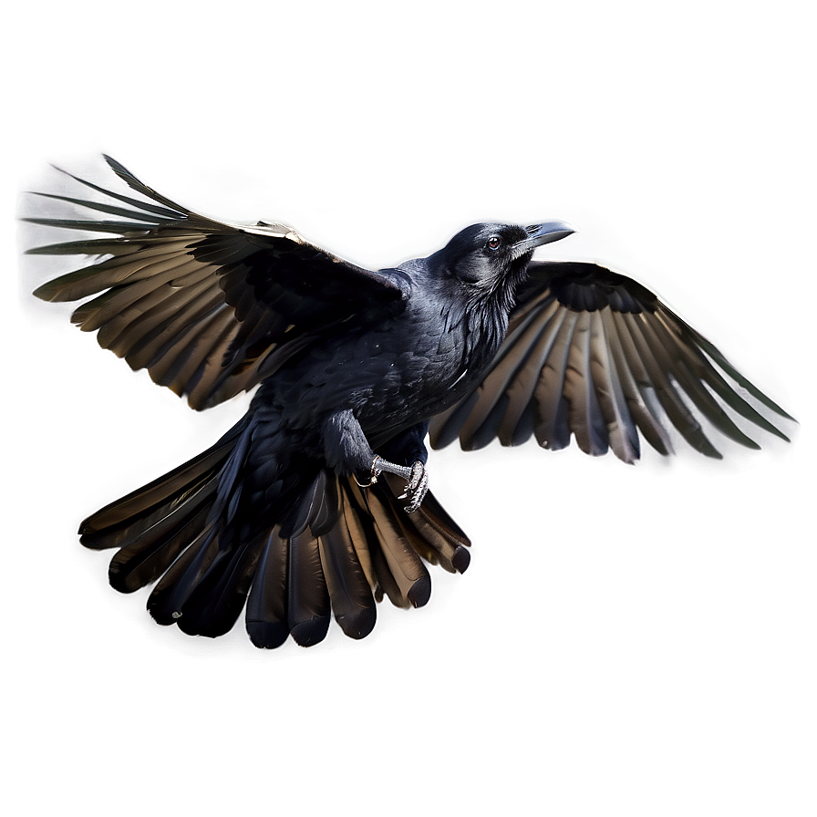 Raven In Flight Png 05062024