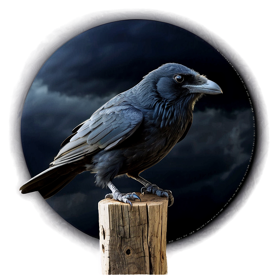 Raven In Stormy Sky Png 81