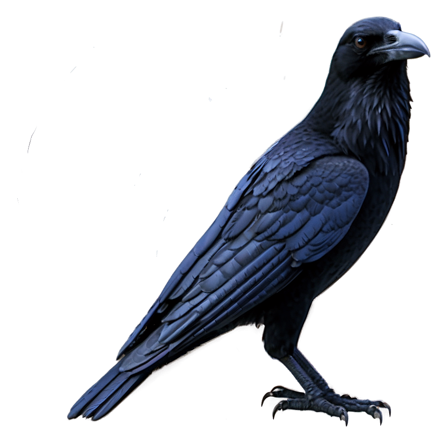 Raven Outline Png Owm25