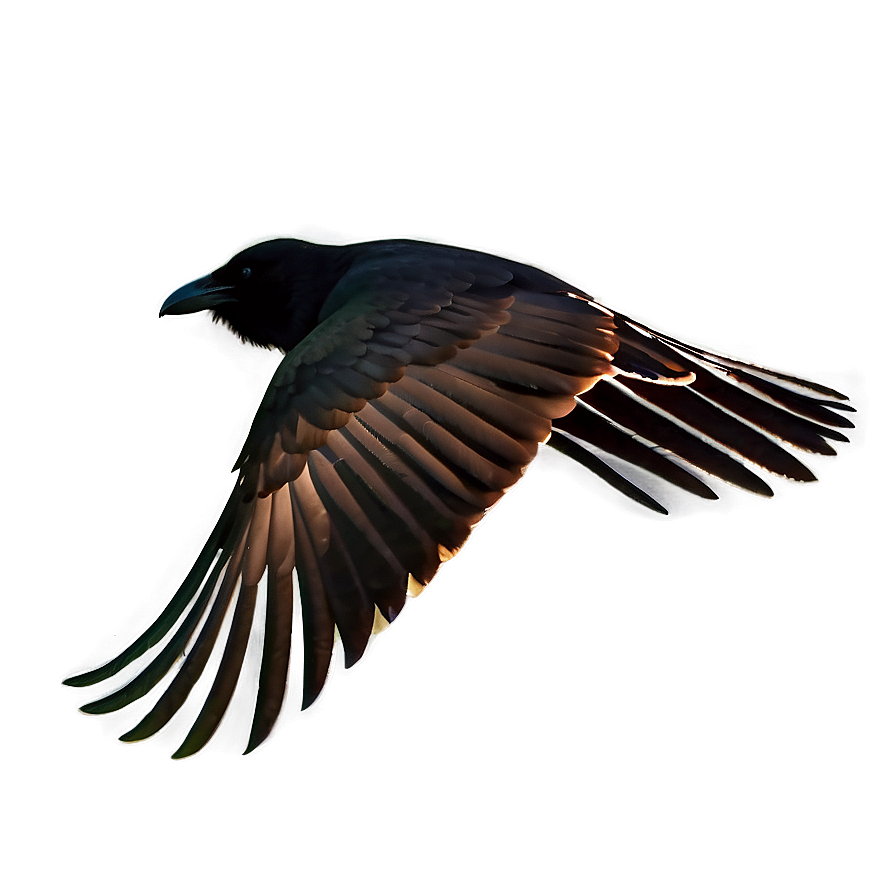 Raven Silhouette In Flight Png 06122024