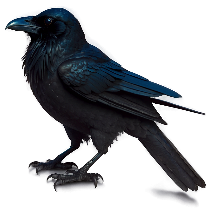 Raven Silhouette Png Gpe