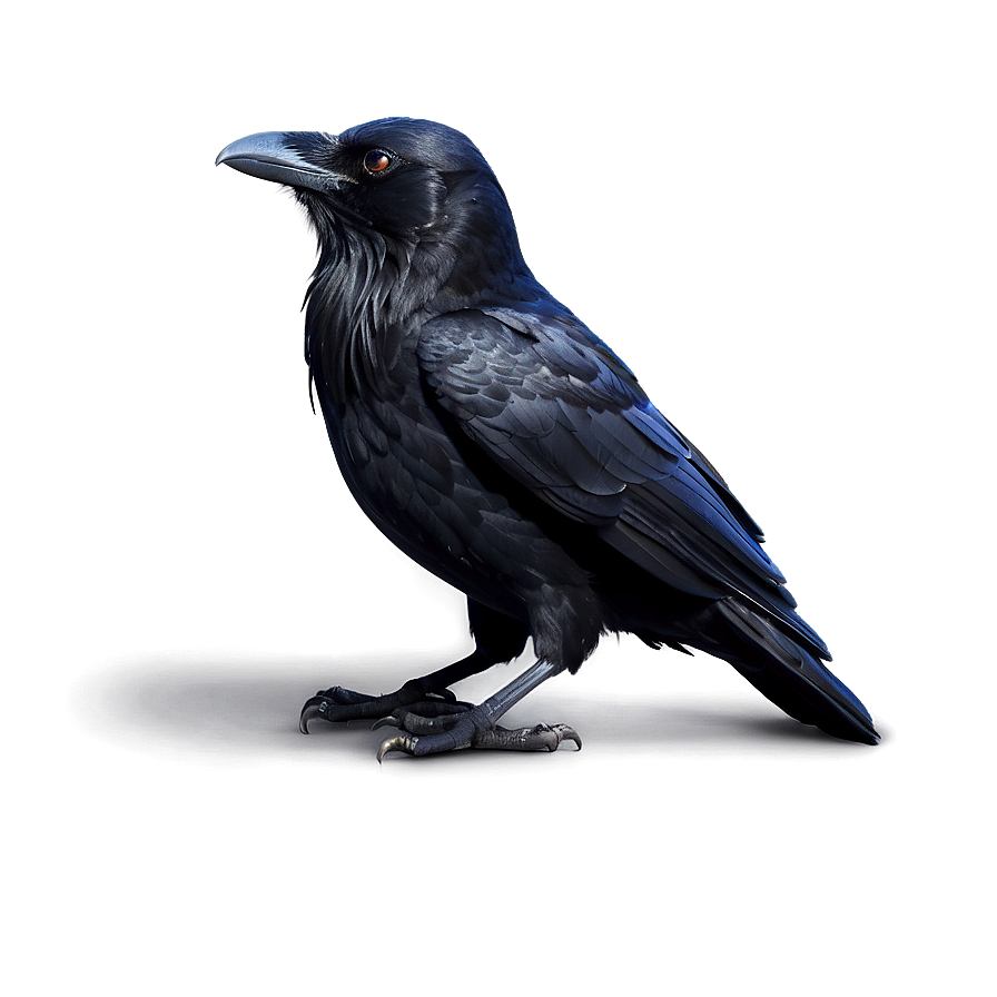 Raven With Glowing Eyes Png Pwq