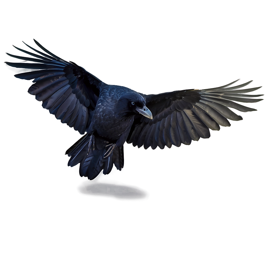 Raven With Open Wings Png Jfe