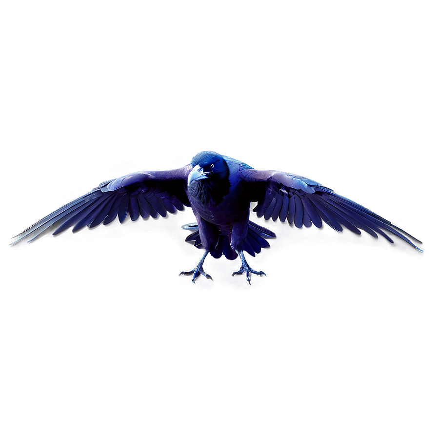 Ravens In Mythology Png 06122024