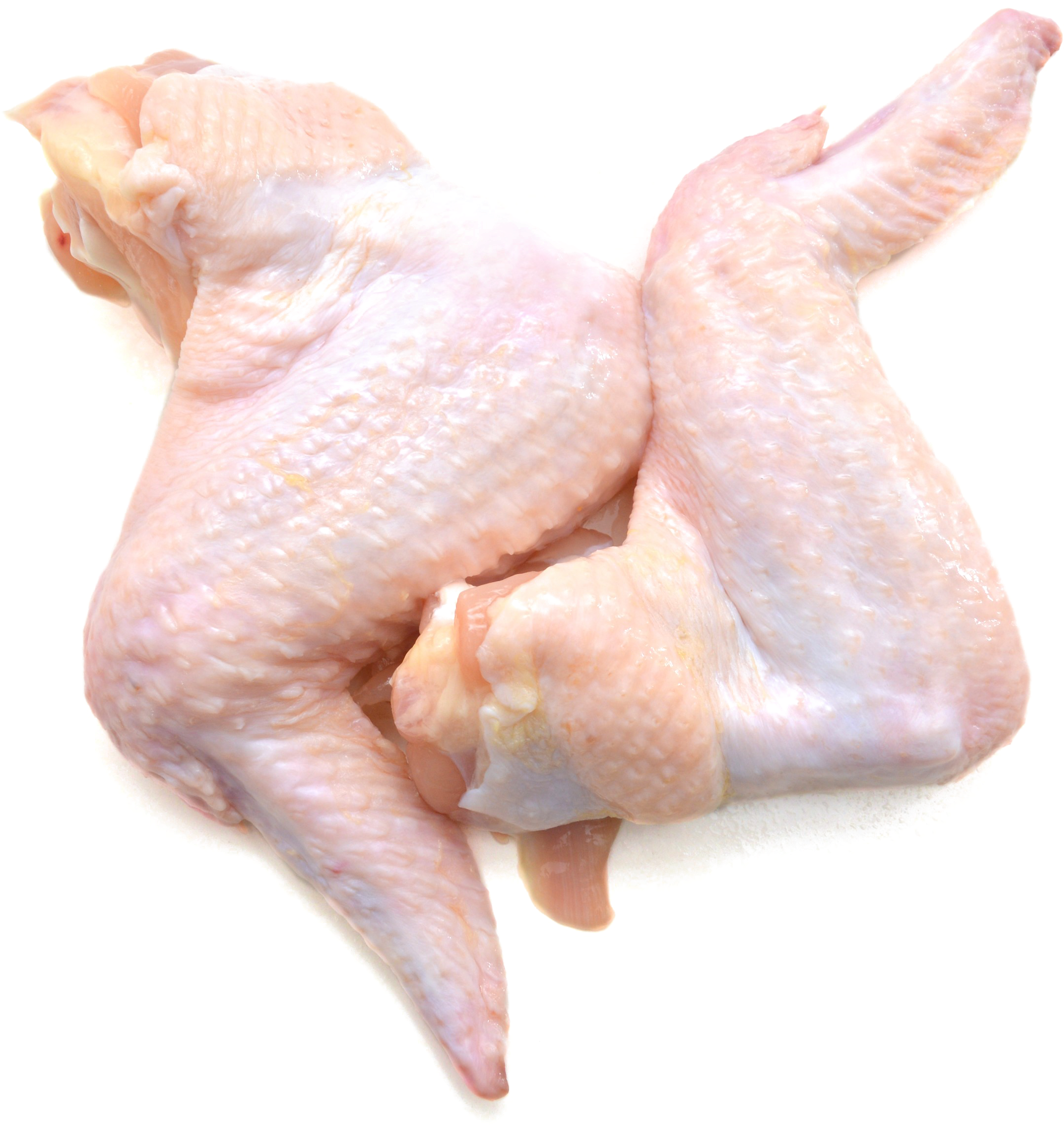 Raw Chicken Wings Isolated.png