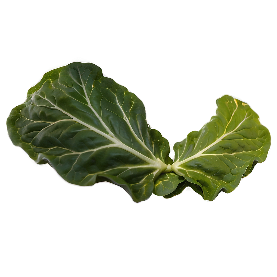 Raw Collard Greens Png 37