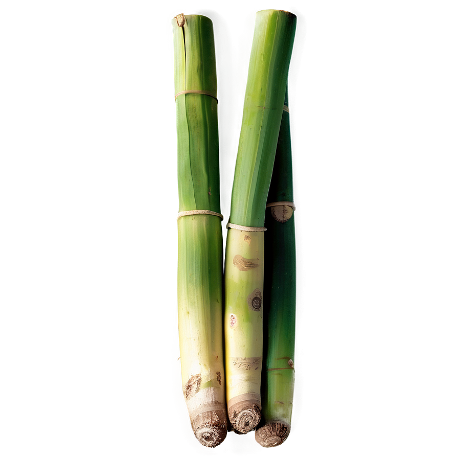 Raw Organic Sugarcane Png Mwj