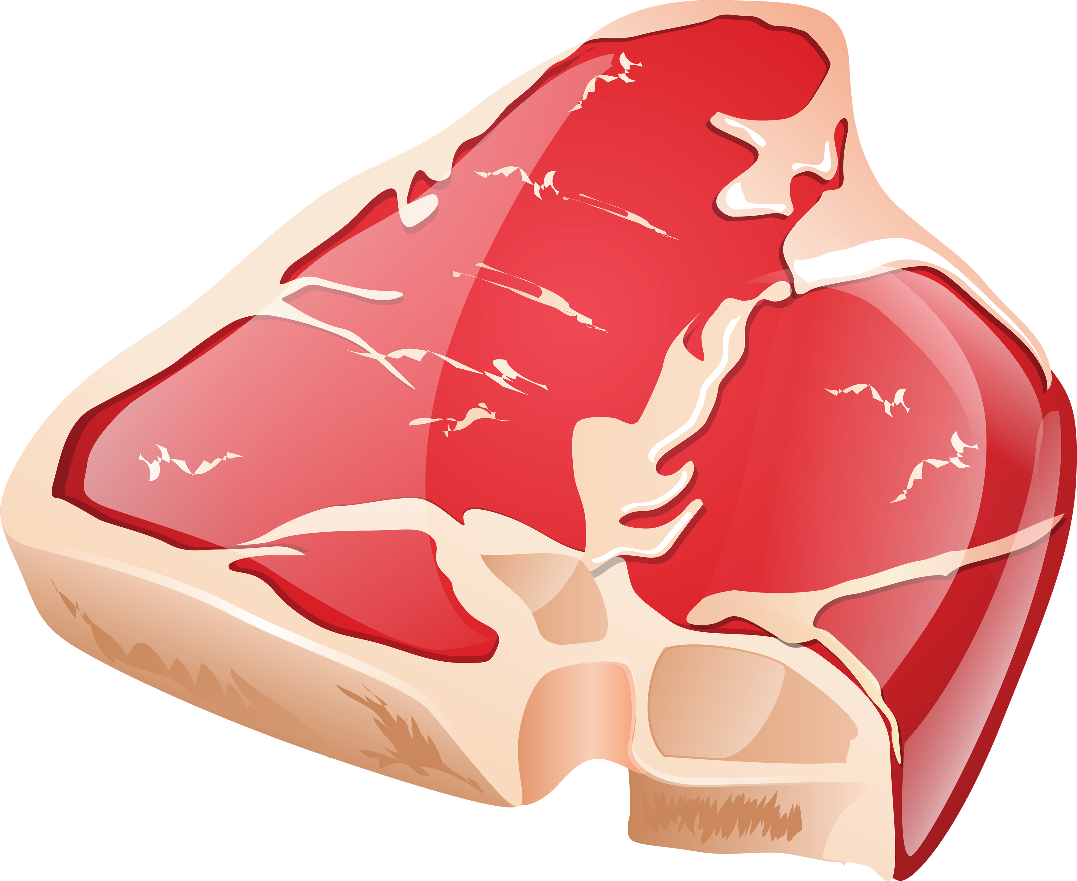 Raw Steak Illustration.png