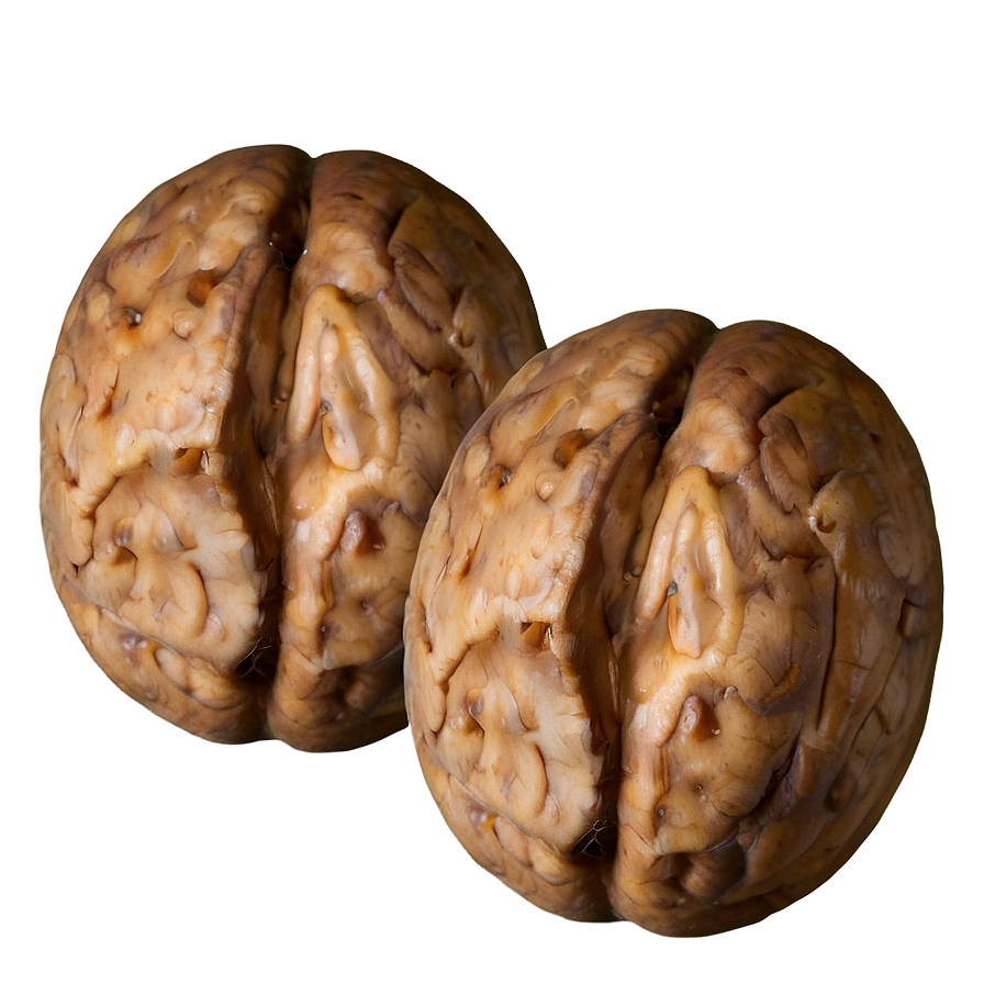 Raw Walnut Png Eeq85