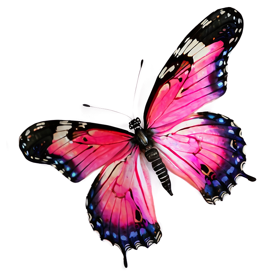 Real Pink Butterfly A