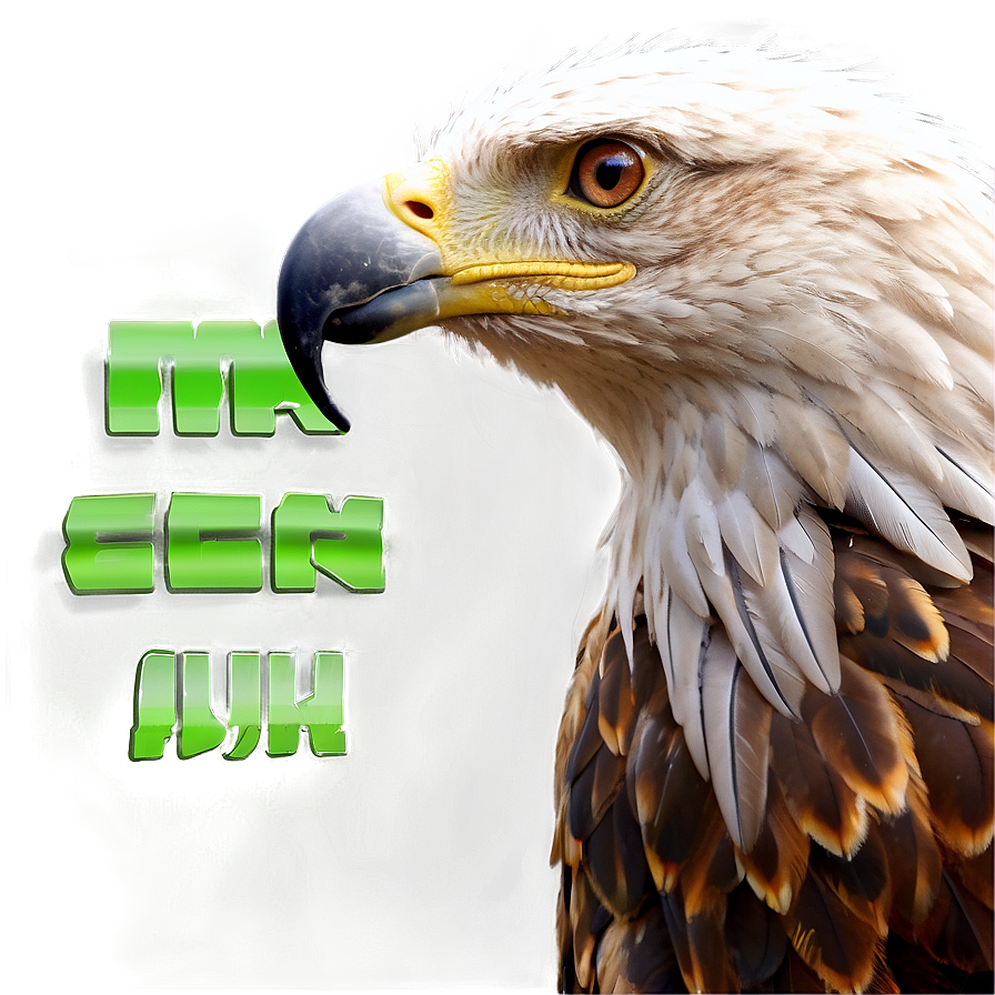 Realistic Aguila Png 10