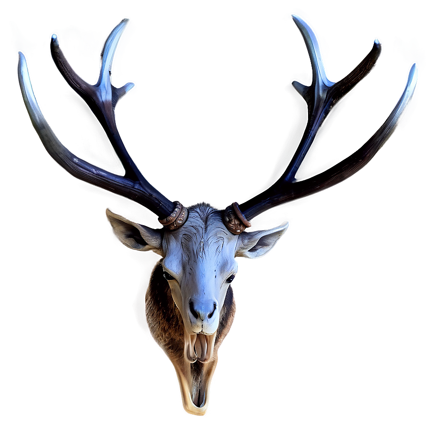 Realistic Antler Graphic Png 06212024