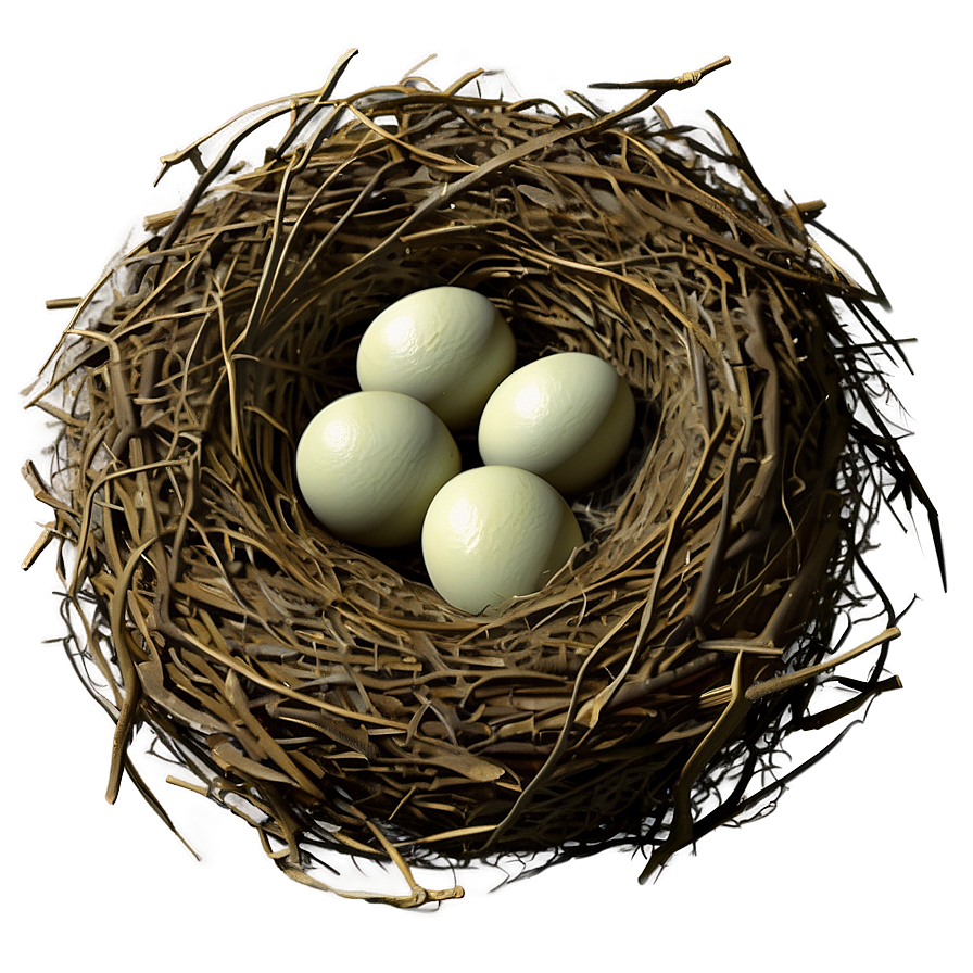 Realistic Bird Nest Png 06212024