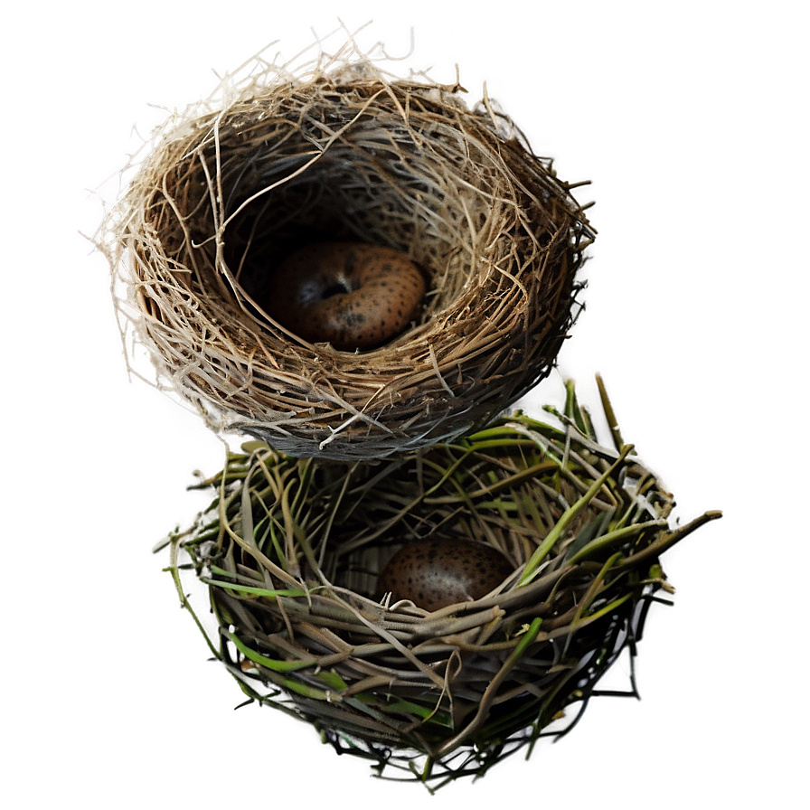 Realistic Bird Nest Png Iow54