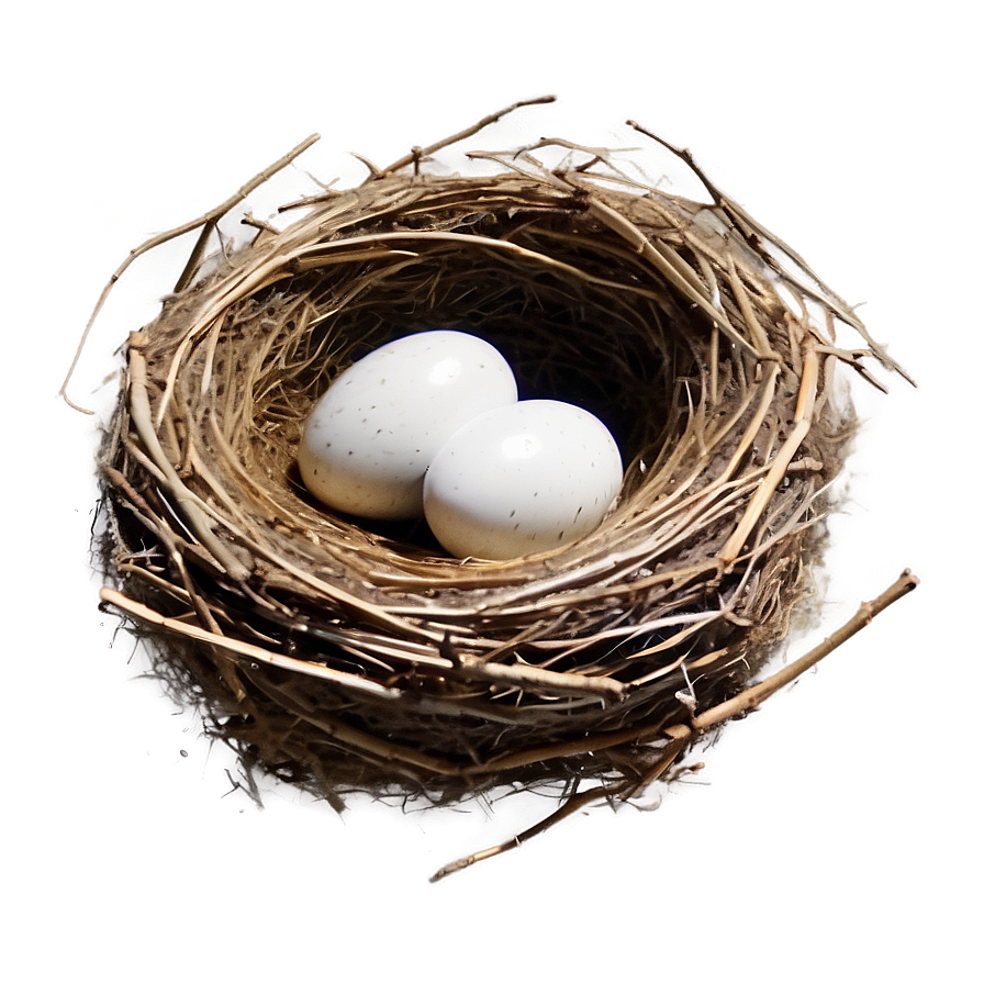 Realistic Bird Nest Png Srg