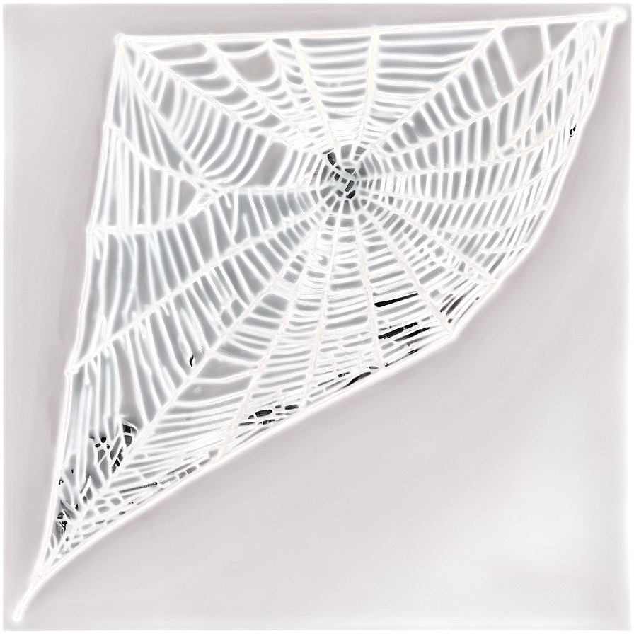 Realistic Cobweb Graphic Png 06132024