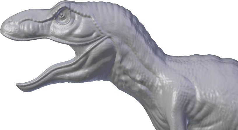 Realistic Crocodile Model Headand Neck