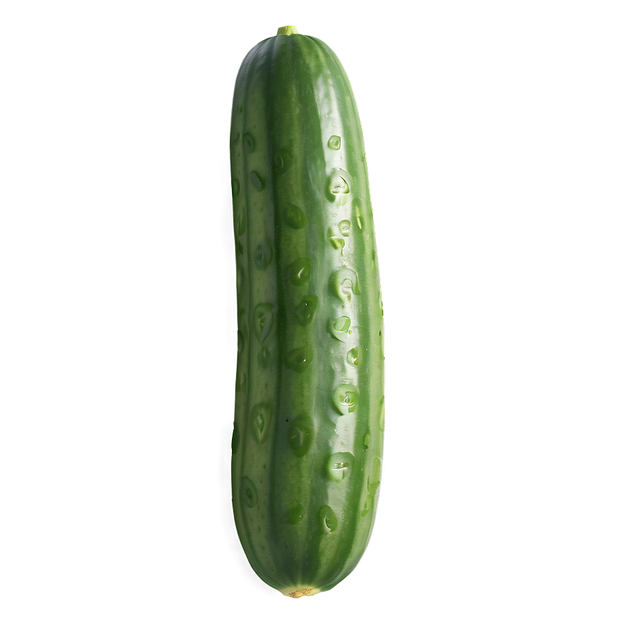 Realistic Cucumber Png Kfq49