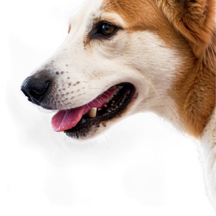 Realistic Dog Png Kvd