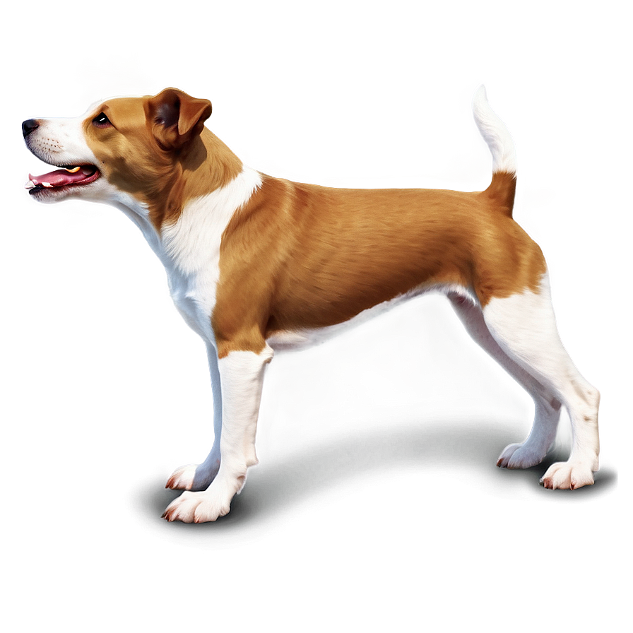 Realistic Dogs Png 05242024