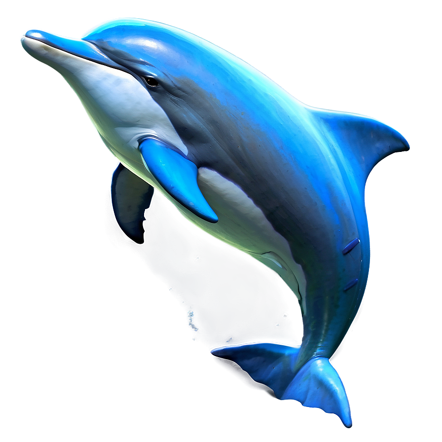 Realistic Dolphins Png Vem